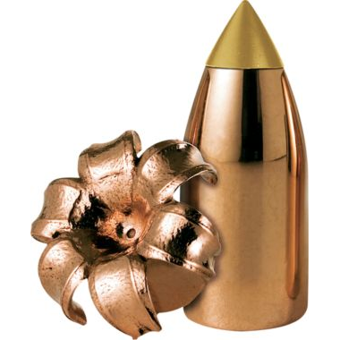 Remington® Premier AccuTip™ Muzzleloader Bullets – Per 24